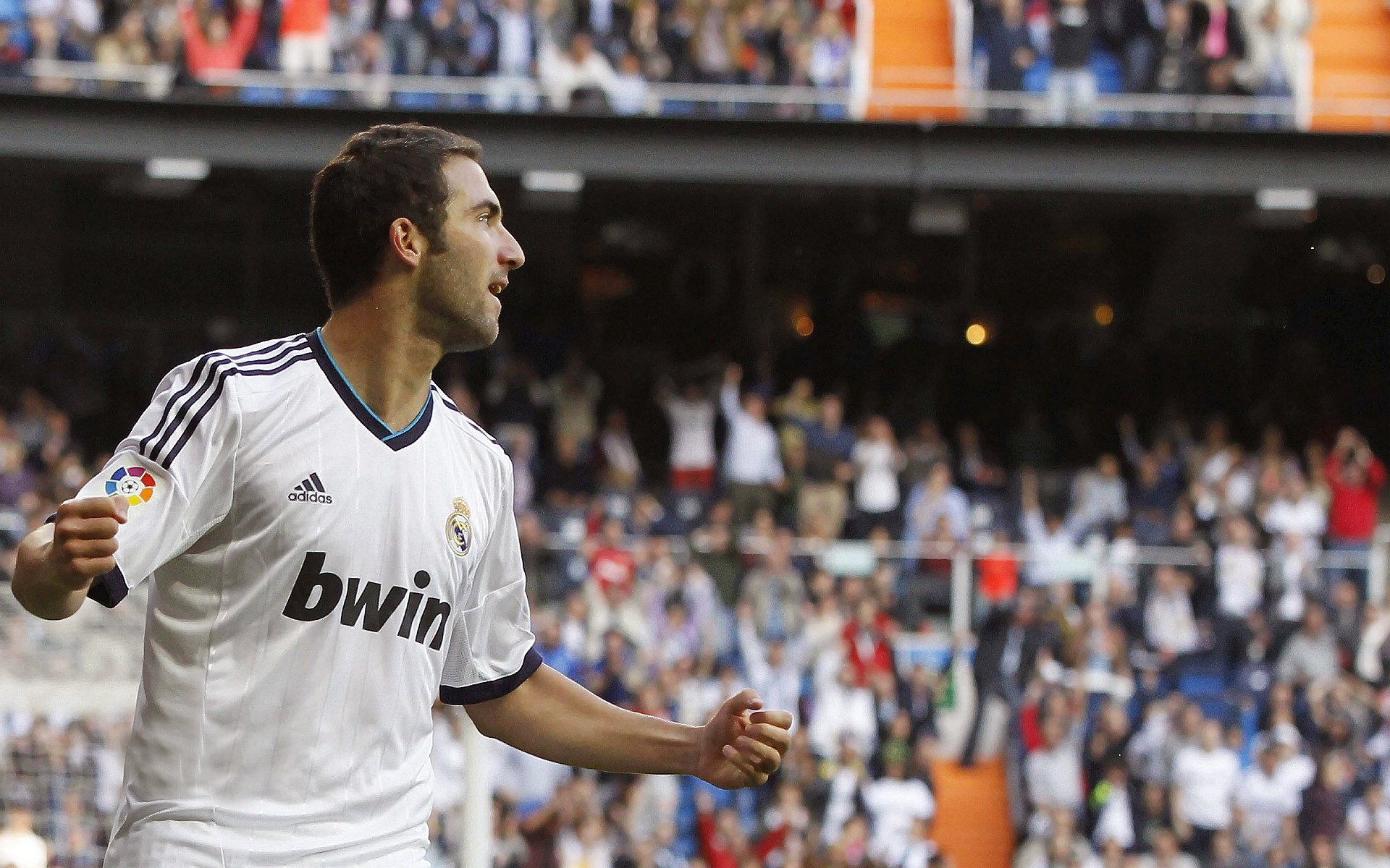 绿茵场与乒乓台的双重奏，葡萄牙轻取瑞典，樊振东领军告捷